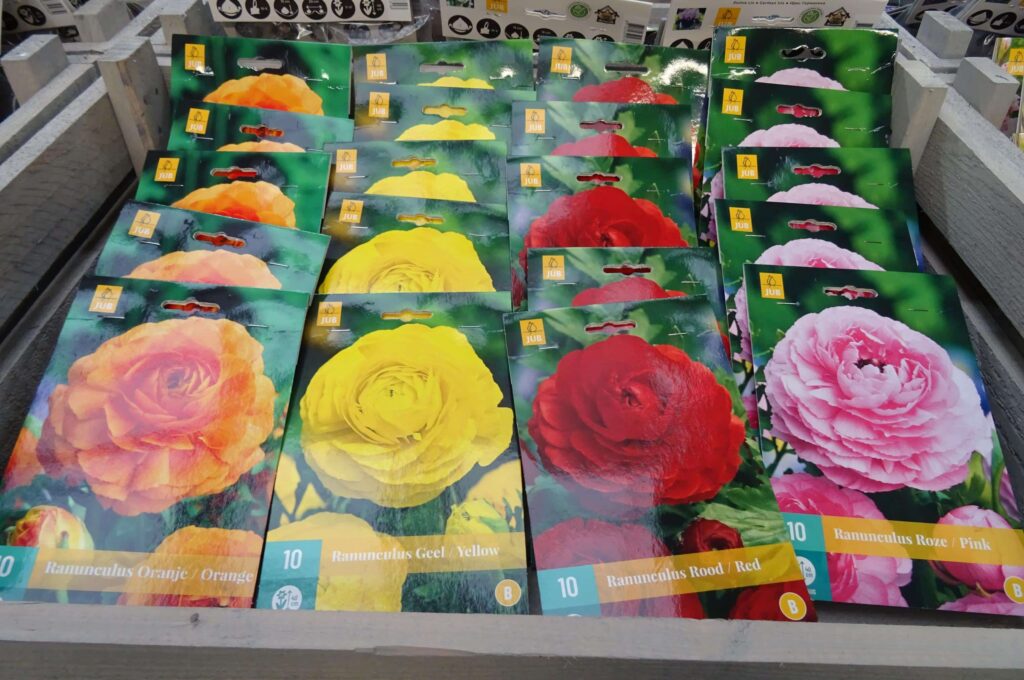 Bulbes de Printemps 8